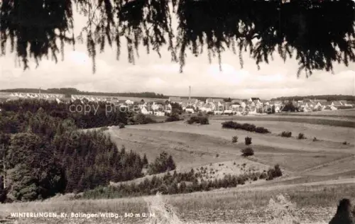 AK / Ansichtskarte Winterlingen Stadtansicht Felder Wald Wohnhaeuser Kamin Panorama