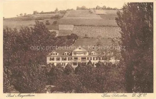 AK / Ansichtskarte BAD MERGENTHEIM BW Haus-Schwaben DHV Hotel Weinberge Garten Baeume Kurort