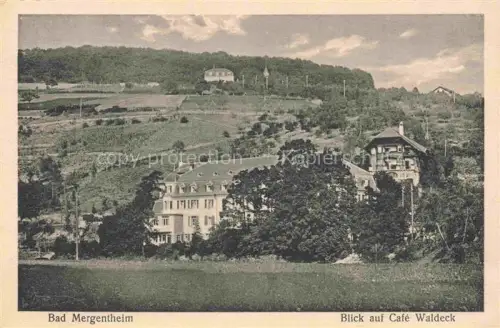 AK / Ansichtskarte BAD MERGENTHEIM BW Café-Waldeck Gebaeude Weinberge Wald Kurort Villa Landschaft