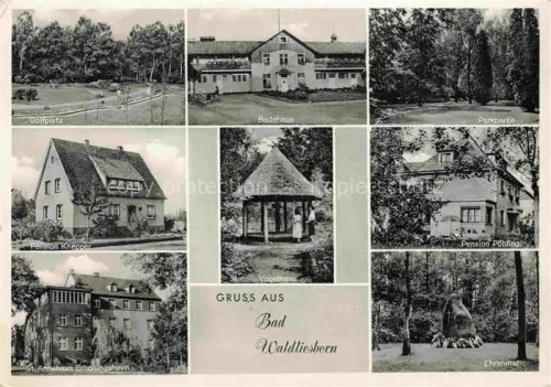 AK / Ansichtskarte Bad Waldliesborn Lippstadt NRW Golfplatz Badehaus Parkpartie Pension-Knepper Pension-Poehling Vogelhaus St-Annahaus-Erholungsheim Ehrenmal Mehrbildkarte
