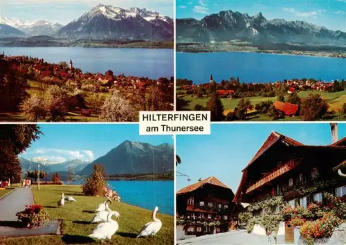 AK / Ansichtskarte Hilterfingen Thunersee BE Thunersee Alpenpanorama Schwaene Bauernhaus Dorf Kirche Blumen