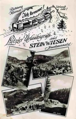 AK / Ansichtskarte Steinwiesen Kronach Bayern Frankenwald Gesamtansicht Felsen Leiturz Alte-Muehle Waelder Haeuser Lokomotive