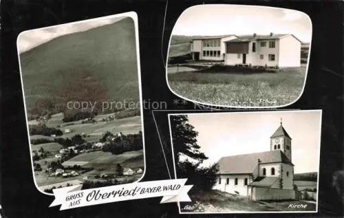 AK / Ansichtskarte Oberried Bischofsmais Bayerischer-Wald Schule Kirche Gesamtansicht Wiesen Wald Haeuser