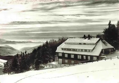AK / Ansichtskarte Schauinsland Oberried BW Schullandheim-Luginsland Schwarzwald Schnee Winter Berggasthof Tannen Bergpanorama