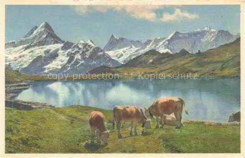 AK / Ansichtskarte Grindelwald BE Bachsee Faulhorn Schreckhorn Finsteraarhorn Fiescherhoerner Kueher Alpen handkoloriert
