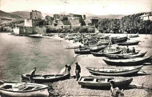 AK / Ansichtskarte Collioure CERET 66 Pyrenees-Orientales Port-de-Pêche Château-des-Templiers Fischerboote Strand Befestigungsanlage Fischer Berge