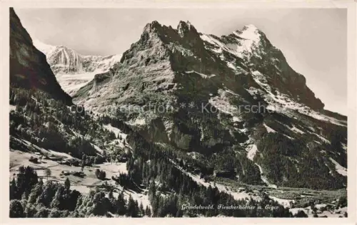 AK / Ansichtskarte Grindelwald BE Fiescherhoerner Eiger Berge Wald Alpen Gletscher Tal