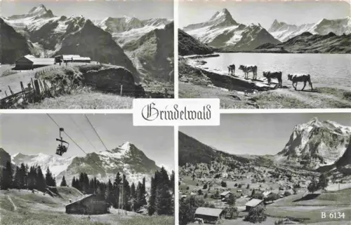 AK / Ansichtskarte Grindelwald BE Bergpanorama See Kuehe Seilbahn Dorf Eiger Schneeberge Alpen