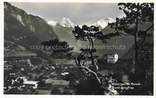 AK / Ansichtskarte Wilderswil Wilderswyl BE Moench Jungfrau Berge Tal Dorf Hotel Kiefern
