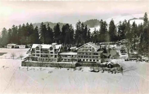 AK / Ansichtskarte Haltenegg 1040m Thun Heiligenschwendi BE Hotel Schnee Wald Wiese Winter Tannen