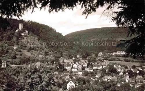 AK / Ansichtskarte BAD LIEBENZELL BW Stadtpanorama Tal Bergwald Burg Wohnhaeuser Schwarzwald Schoenblick