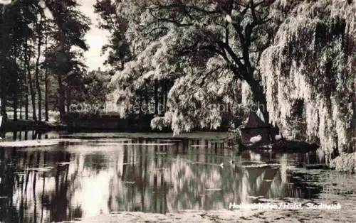 AK / Ansichtskarte Heiligenhafen Ostseebad Schleswig-Holstein Stadtteich Teich Trauerweide Spiegelung Baeume Enten Idylle