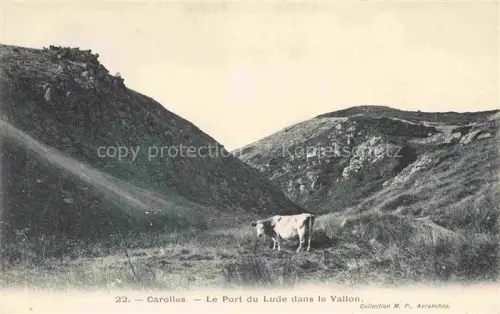 AK / Ansichtskarte CAROLLES-PLAGE Avranches 50 Manche Port-du-Lude Vallon Schlucht Kuh Weide Felsen Huegel