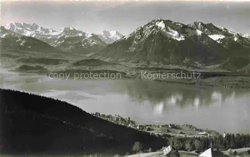 AK / Ansichtskarte Haltenegg 1040m Thun Heiligenschwendi BE Thunersee Alpenkette Bluemlisalp Doldenhorn Balmhorn Niesen See Berge Wald