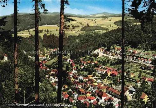 AK / Ansichtskarte Triberg Schwarzwald BW Schwarzwald Ortschaft Talblick Fichten Waelder Haeuser Panorama
