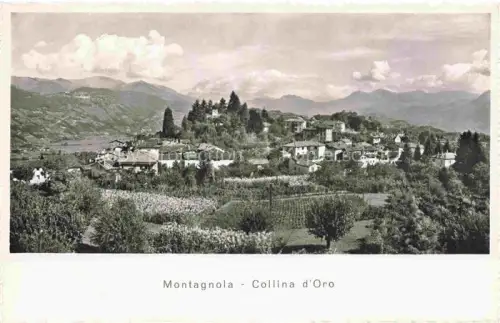 AK / Ansichtskarte Montagnola LUGANO TI Collina-d Oro Dorf Berge Weinberge Gaerten Panorama Baeume