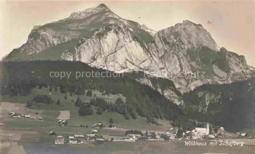 AK / Ansichtskarte Wildhaus  Toggenburg SG Schaefberg Dorf Berge Felsen Wald Wiesen Kirche Handkoloriert
