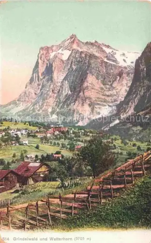 AK / Ansichtskarte Grindelwald BE Wetterhorn Dorf Hotels Berge Felswand Wiesen Zaun Handkoloriert
