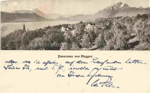AK / Ansichtskarte Meggen LU Vierwaldstaettersee Alpen Villen Waelder Schneeberge Dorf Baeume