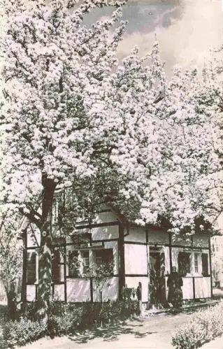 AK / Ansichtskarte Barmen Elberfeld WUPPERTAL Kirschbluete Fachwerkhaus Obstbaeume Bluete Garten Fruehling