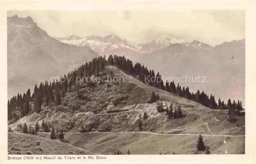 AK / Ansichtskarte Bretaye 1800m AIGLE VD Massif-du-Trient Mont-Blanc Bergstation Tannen Bergwiesen Alpen Chamossaire