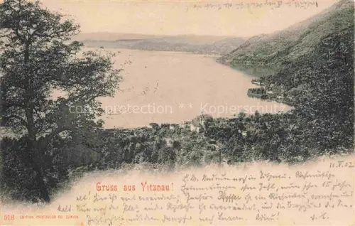 AK / Ansichtskarte Vitznau Witznau Vierwaldstaettersee LU Vierwaldstaettersee See Dorf Baeume Huegel Panorama