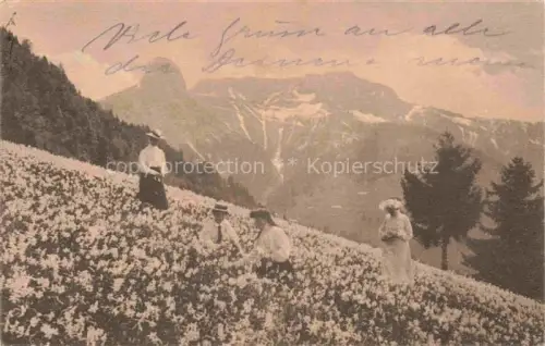 AK / Ansichtskarte Les Avants VD Col-de-Sonloup Champ-de-Narcisses Rochers-de-Naye Dent-de-Jaman Narzissen Bergwiese Frauen Alpen
