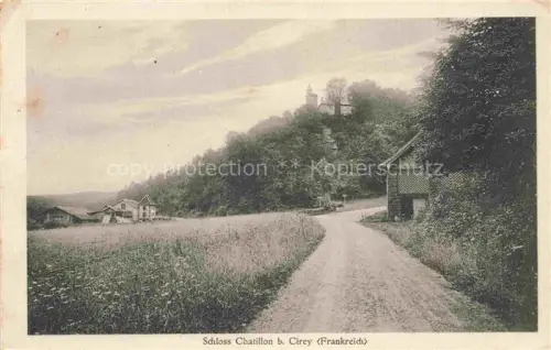 AK / Ansichtskarte Cirey-sur-Vezouze Luneville 54 Meurthe-et-Moselle Schloss-Chatillon Château Felsen Feldweg Wiese Wald Turm