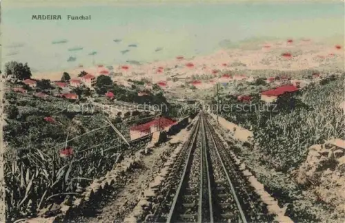 AK / Ansichtskarte FUNCHAL Madeira PT Zahnradbahn Eisenbahn Stadtpanorama Daecher Vegetation Berge Tal Palmen