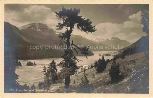 AK / Ansichtskarte Silvaplana GR Campfer Silvaplanersee See Berge Baum Tal Wald