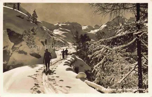 AK / Ansichtskarte Bernina 2323m Pontresina GR Skifahrer Ski Winter Schnee Berninagebiet Berge Wald Wintersport
