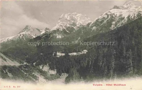 AK / Ansichtskarte Vulpera Tarasp Schuls Scuol GR Hôtel-Waldhaus Berge Wald Tannen Berghotel Engadin