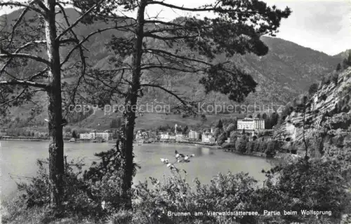 AK / Ansichtskarte Brunnen Vierwaldstaettersee SZ Vierwaldstaettersee Wolfsprung See Berge Ortschaft Hotels Baeume