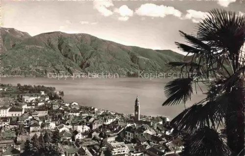 AK / Ansichtskarte Ascona Lago Maggiore TI Lago-Maggiore Kirchturm Ortschaft See Berge Palme