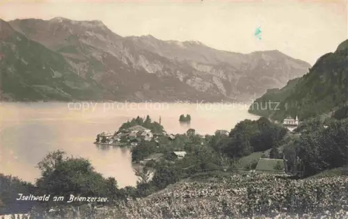 AK / Ansichtskarte Iseltwald Brienzersee Interlaken BE Iseltwald Brienzersee See Dorf Halbinsel Berge Wald