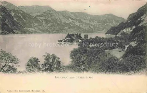 AK / Ansichtskarte Iseltwald Brienzersee Interlaken BE Iseltwald Brienzersee See Halbinsel Berge Wald