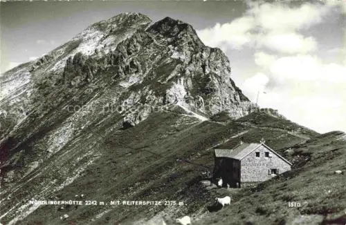 AK / Ansichtskarte Ehrwald Tirol AT Nordlingerhutte Reiterspitze Berghuette Wettersteingebirge Felsgipfel Schafe Hochgebirge