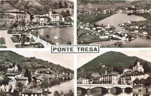 AK / Ansichtskarte Ponte-Tresa Lago di Lugano TI Lago-di-Lugano Seeufer Bruecke Panorama Flamingos Dorf