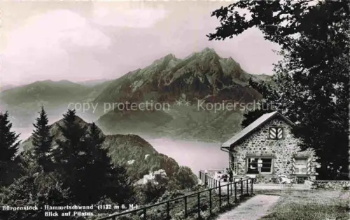 AK / Ansichtskarte Hammetschwand Buergenstock NW Hammetschwand Pilatus Berghuette Vierwaldstaettersee Wald Bergpanorama
