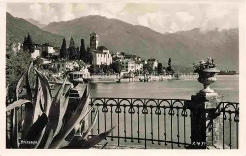 AK / Ansichtskarte Brissago Lago Maggiore TI Lago-Maggiore Seepromenade Kirche Agave Gelaender Ortschaft Berge Hafen