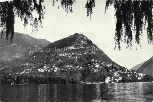 AK / Ansichtskarte Monte-Bre Lugano TI Lago-di-Lugano See Berg Villen Huegel Bergortschaft Weiden Weiden-Zweige