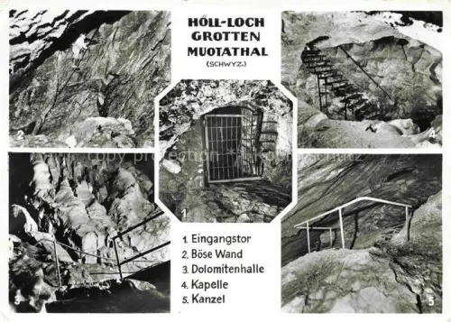 AK / Ansichtskarte Hammetschwand Buergenstock NW Hammetschwand-Lift Pilatus Felsenweg Aussichtsterrasse Baum Vierwaldstaettersee