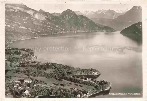 AK / Ansichtskarte Morschach SZ Kurhaus-Frohnalp Hotel Restaurationsgarten Urirotstock Alpen Bergwiese Terrassengarten