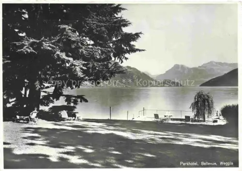 AK / Ansichtskarte Hertenstein  LU Vierwaldstaettersee See Berge Alpen Halbinsel Waelder Siedlung