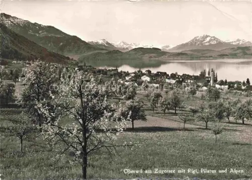 AK / Ansichtskarte Oberwil ZG Zugersee Rigi Pilatus Alpen Obstbaeume Dorf Fruehjahr Kirche