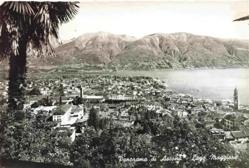 AK / Ansichtskarte Ascona Lago Maggiore TI Lago-Maggiore See Berge Palmen Kirche Daecher Ortschaft