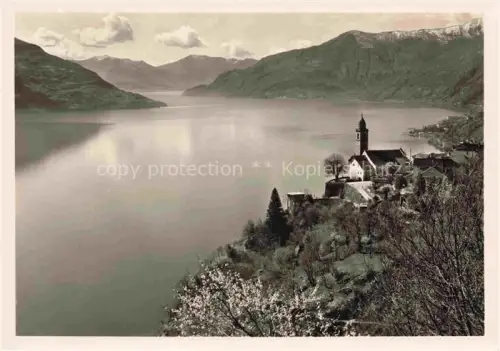 AK / Ansichtskarte Ronco Ascona Locarno Lago Maggiore TI Lago-Maggiore Kirche Felshang Fruehling Berge See Blueten