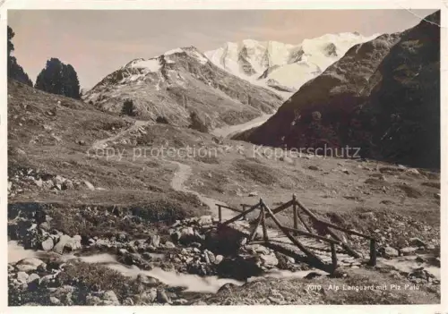 AK / Ansichtskarte Pontresina Maloja GR Alp-Languard Piz-Palue Gletscher Berge Bach Holzbruecke Wiese