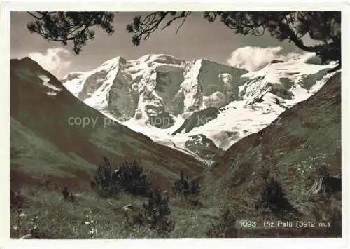 AK / Ansichtskarte Piz Palue 3905m GR Piz-Palue Gletscher Berge Schnee Bergwald