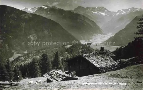 AK / Ansichtskarte Steinach Brenner Tirol AT Domersalm Almhuette Bergpanorama Hochtal Nadelwald Weide Tirol